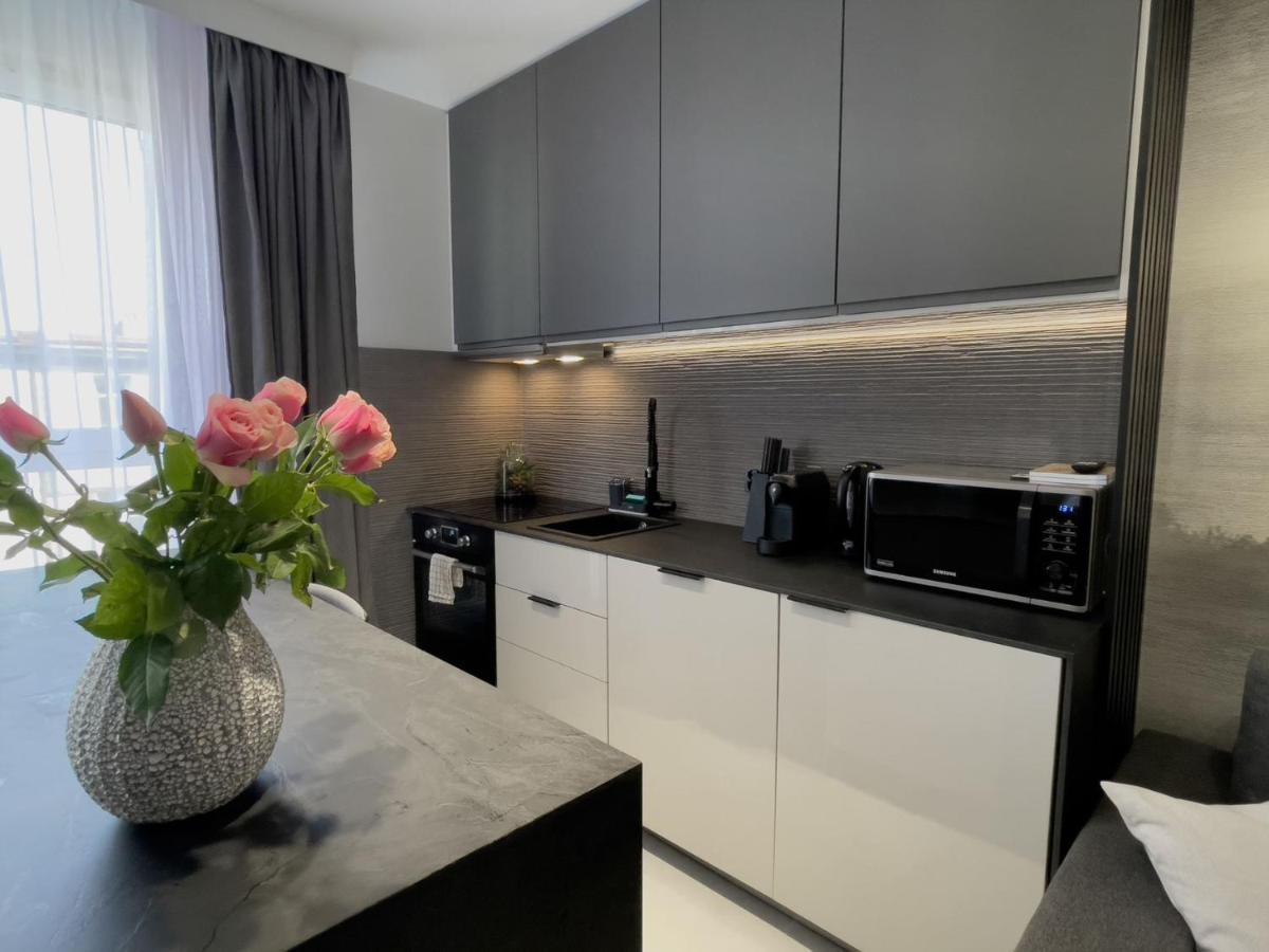 URBAN APARTMENTS Premium Opolska 10 Nr 89 Plus 2 Garages Kattowitz Exterior foto