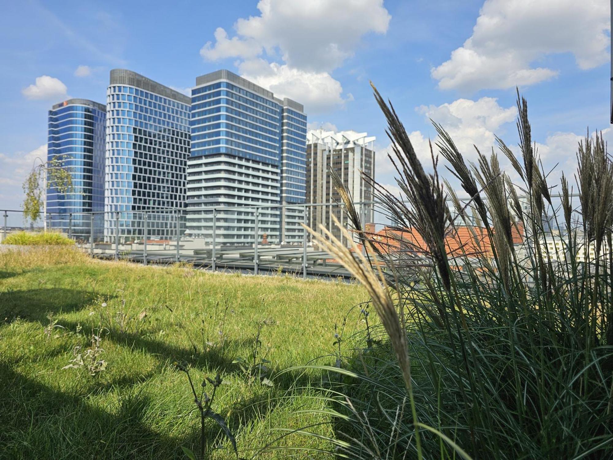 URBAN APARTMENTS Premium Opolska 10 Nr 89 Plus 2 Garages Kattowitz Exterior foto